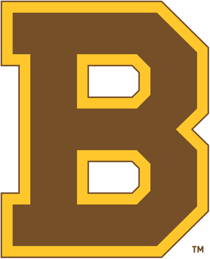 Boston Bruins 1932-1934 Primary Logo t shirts iron on transfers